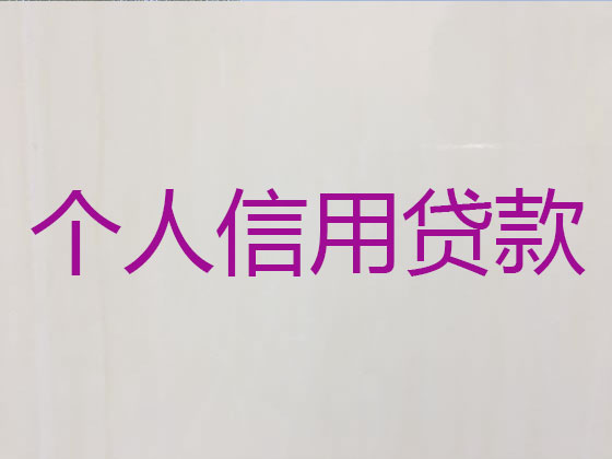 芜湖正规贷款公司-银行信用贷款